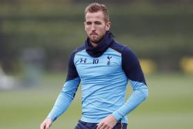 UNAVAILABLE: Tottenham have lost their cutting edge since Harry Kane (above) suffered  an injury in  mid-September. 