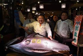 This fish cost nearly $1m