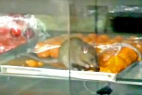 Rats! Restaurant in viral video was wrongly identified 