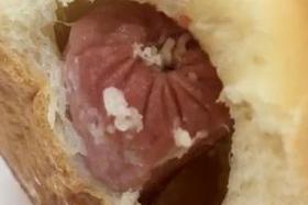 Boy found maggots in sausage bun, says mum