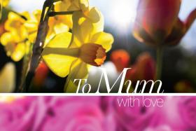 To mum, with love: A Spotify playlist