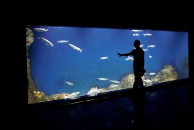 Holy water: Jerusalem aquarium set to open at Biblical Zoo
