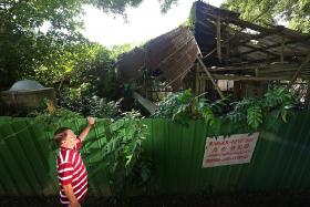 Pulau Ubin kampung houses to be restored