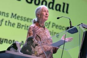 Dr Jane Goodall speaking at an event to mark the 10th anniversary of the environmental group she founded, the Jane Goodall Institute (Singapore). 