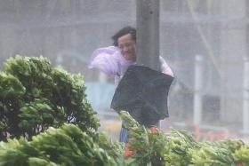 Typhoon Hato leaves 4 dead in Hong Kong, Macau