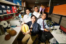 (From left, standing, clockwise) Dr Yong Chern Han, Mr Cedric Ng, Prof Teh Bin Tean and Prof Patrick Tan are the first to publish their study online in the journal Nature Genetics. 