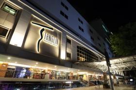 the owners of tanglin Shopping Centre had collective sale attempts in 2011 and 2014. 
