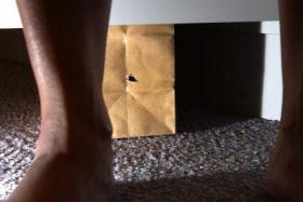 Posed photo of a peeping tom&#039;s using a paperbag.