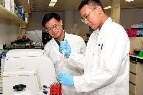 TP student helps advance HIV research during internship