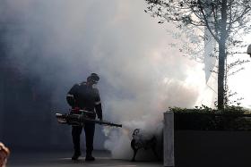 Fogging operations do not address the root cause of mosquito breeding. 