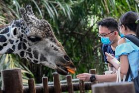 The Singapore Zoo is a popular spot to use the SingapoRediscovers Vouchers 