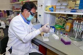 Neutralising antibody test kit developed in Singapore gets FDA okay