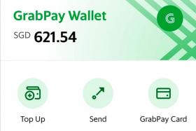 GrabPay issues upset shoppers trying to secure Singles’ Day deals