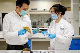NTU researchers make gel bandages out of durian husks