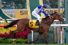 Jockey Ronnie Stewart celebrating after winning the second of his three Singapore Gold Cups on El Dorado in 2009. He also won the premier classic with the same Hideyuki Takaoka-trained horse in 2008 and 2011. 