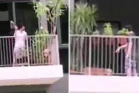 A woman seen hitting a golden retriever with a broom on her condo balcony at Skypark Residences in Sembawang. 