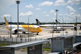SIA's and Scoot's recovery had been boosted since the launch of the VTL scheme in September. 
