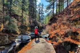 The 403km trail will be officially inaugurated by the King of Bhutan in March with international visitors being allowed to walk the trail beginning from April. 