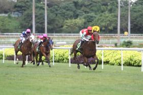 Amazing Breeze thrashing his rivals by seven lengths over 1,600m two starts back on Nov 27, the final day of the 2021 Singapore racing season. He is good enough to score again in Race 8 at Kranji tomorrow. 