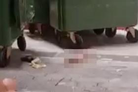 A video showing what appears to be a severed leg on the streets of Singapore has been circulating online recently.