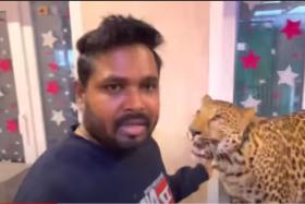 As war rages, Indian doctor won’t leave without his two big cats