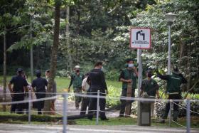 The wild boar was last seen entering the forest in Yishun Park, which led to the closure of the park. NParks officers tracked it and put up hoardings in the park to keep the public safe.