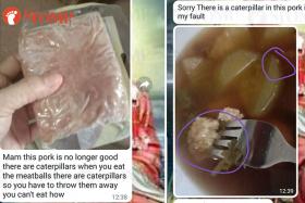 Maggots wriggle out from minced pork cooked in soup