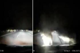 Before you could even say 'moo': Driver speeds down pitch black M'sian highway, crashes into herd of cows