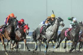 The grey Cheval Blanc racing past the pack under jockey Marc Lerner to score an emphatic win over the Polytrack 1,600m in heavy rain. 