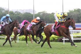 Mr Malek (No. 1) is one of the chances in Saturday’s $1 million Kranji Mile. The Group 2 Stewards’ Cup winner has drawn a handy gate. 