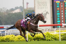Malaysian jockey Wong Chin Chuen guiding the Daniel Meagher-trained Lim’s Lightning to a record-breaking victory in the $1 million Kranji Mile yesterday.
