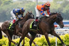 Singapore Derby wannabe Relentless defying his 58.5kg top impost on Saturday with leading jockey Manoel Nunes astride.