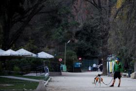 Mr Gonzalo Chiang and his border collie Sam prepare to search for and collect garbage to keep clean the metropolitan park known as Parquemet in Santiago, Chile.