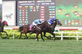 The Michael Clements-trained Starlight beating stablemate Tiger Roar (No. 1) in the Group 2 Singapore Three-Year-Old Sprint over 1,400m last July.