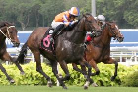 King Arthur storming home to take a $100,000 Class 1 race over 1,200m at his last start with apprentice Yusoff Fadzli astride. 