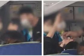 'Who said you could have a child?': Korean man berates woman over crying baby onboard flight
