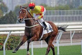 California Spangle leading all the way with Zac Purton astride in the Hong Kong Classic Cup over 1,800m at Sha Tin on Feb 27.
