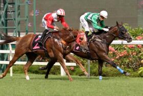 Global Spirit holding off the fast-finishing Exceed Natural (No. 2) in Race 9 on Saturday. Winning jockey Simon Kok was “warned and advised to ensure that he rides his mounts out fully to the finish in future”. 