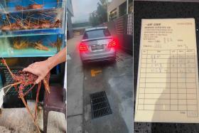 Mercedes driver orders $335 worth of live seafood, then drives off without paying