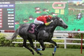 Grand Koonta won all his seven Kranji races on turf, including this Kranji Stakes A race. Ruan Maia, who now rides in Hong Kong, was in the saddle.