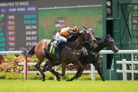 Fadaboy (inside) staving off stablemate Luxury Brand by just a nose when the Donna Logan-trained pair made their debut on July 24. It will be hard to separate the in-form duo again on Saturday.
