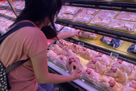 Fresh Malaysian broiler chickens returned to retailers&#039; shelves here on Oct 13. 