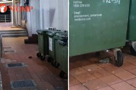 Rats, more rats - now in Clementi