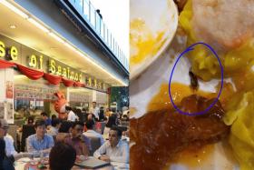 Woman finds cockroach in her siu mai at House of Seafood; owner denies insect came from kitchen