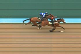 Hongkong Great (Vlad Duric) holding off Silent Is Gold (Ronnie Stewart) to win his barrier trial on Tuesday.