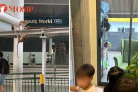 Monkeys disturbance in Bukit Timah: Enrichment centre worried about kids' safety
