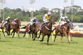Sacred Croix (Benny Woodworth) winning one of his eight races when trained by Mark Walker. The horse is now under Jerome Tan and Woodworth, who has partnered the gelding in three other victories, gets the job in Sunday&#039;s $150,000 Group 2 EW Barker Trophy over 1,400m at Kranji. ST FILE PHOTO