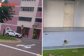 Resident calls police after flower pot falls from height in Pasir Ris