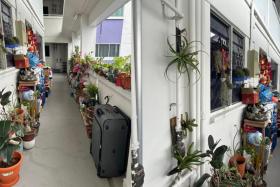 The Bishan resident has received complaints about the clutter outside her flat. PHOTO: SHIN MIN DAILY NEWS
