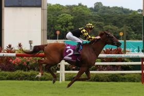 Golden Monkey (Chad Schofield) winning the Group 2 Stewards&#039; Cup (1,600m) easily on July 2. With Hong Kong-based top Australian jockey Hugh Bowman engaged, he is the likely favourite in Sunday&#039;s Singapore Derby. PHOTO: STC
